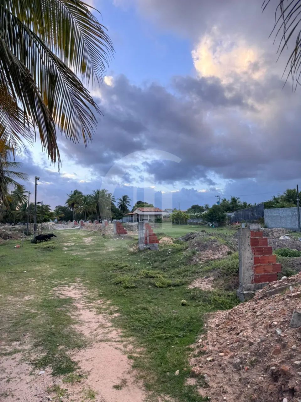 Lote à Venda de 250m² Posição Leste/Norte - Foto 4