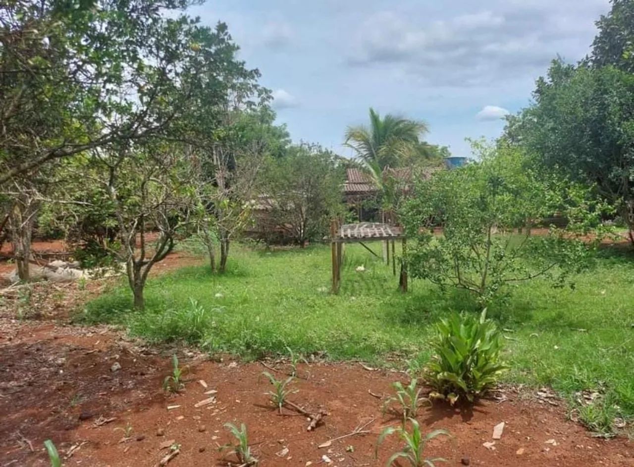 Chácara no Miranda 9 500.000,00 - Foto 4