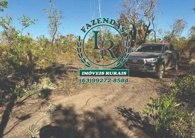 Fazenda Bruta de 132 Alqueires Tocantins - Foto 5