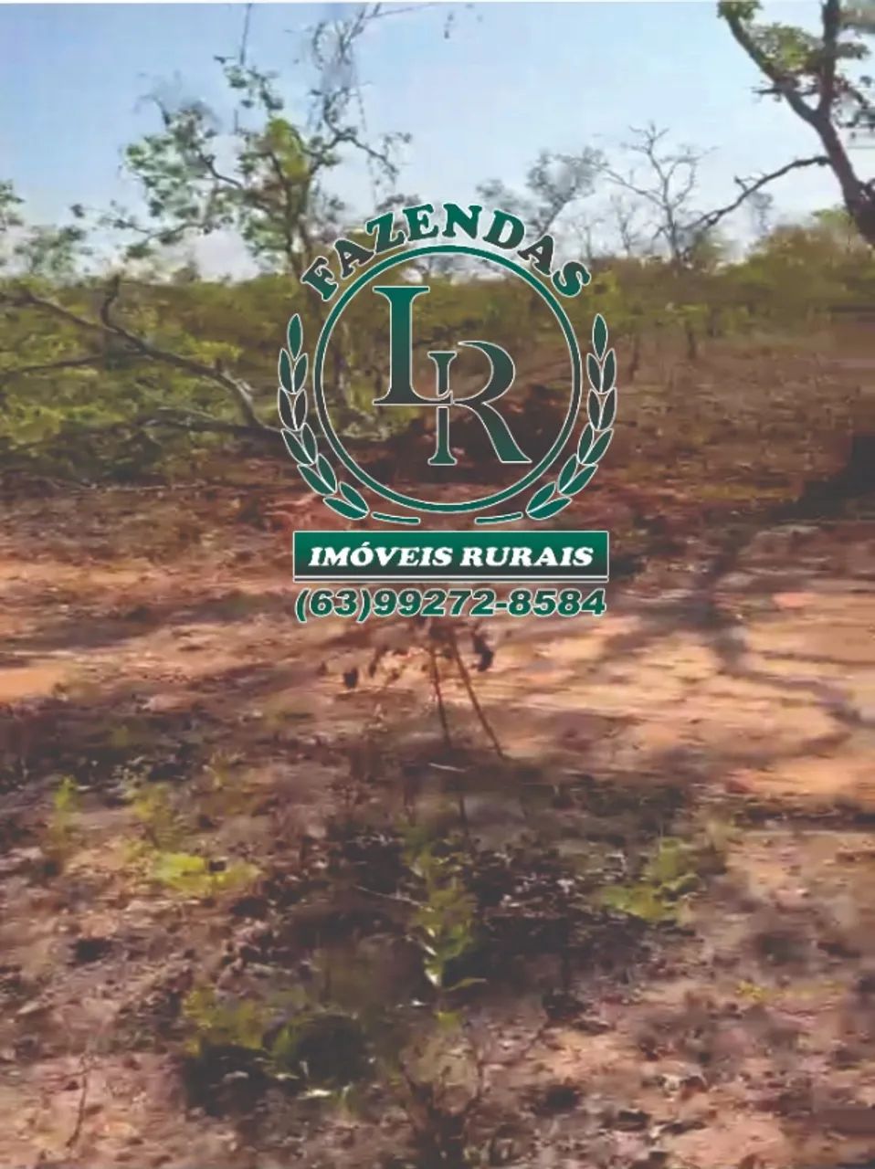 Fazenda Bruta de 132 Alqueires Tocantins - Foto 4