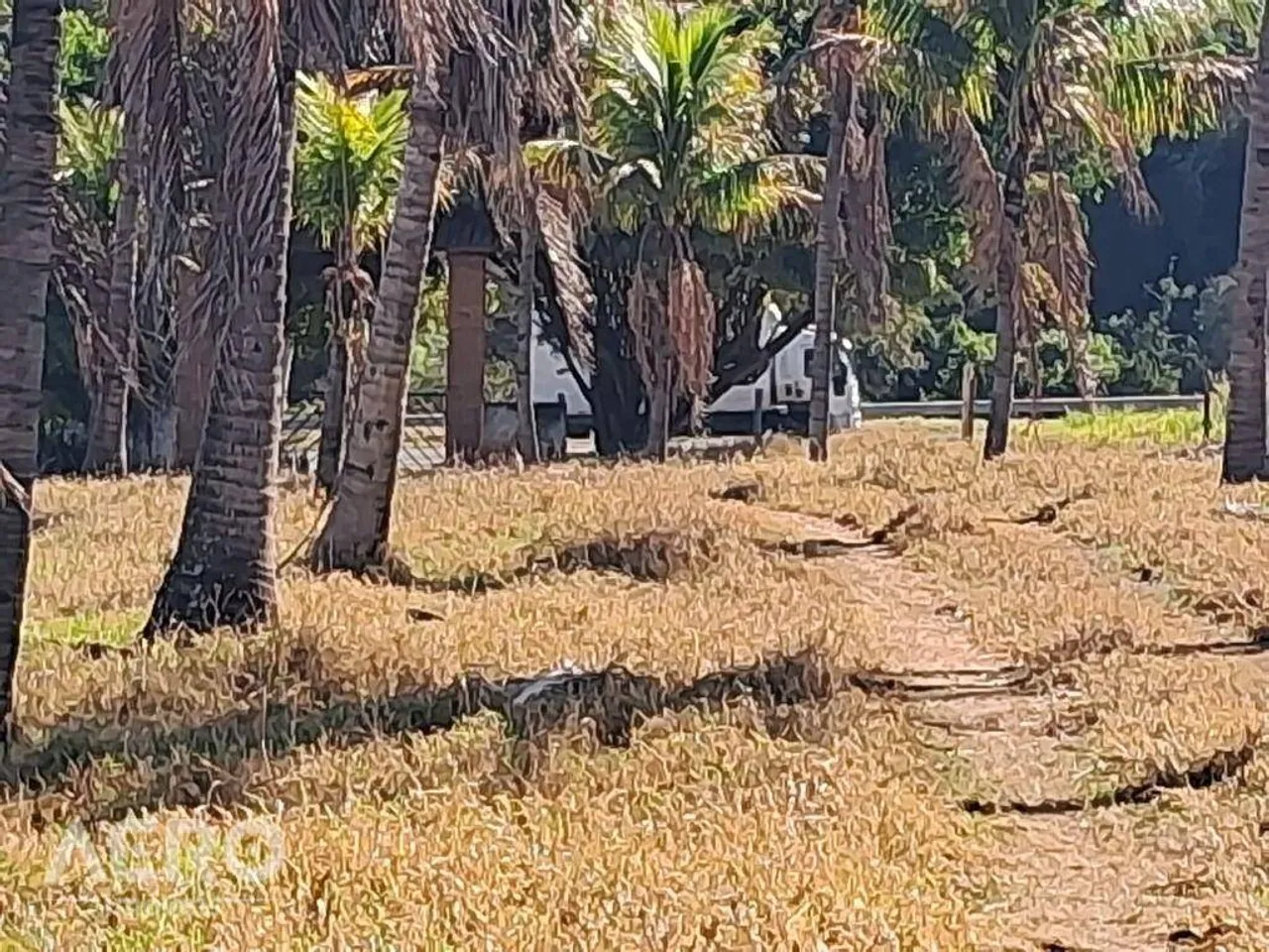 Sítio com 4 dormitórios à venda, 290400 m² por R$ 2.460.000,00 - Área Rural de Guaimbê - G
