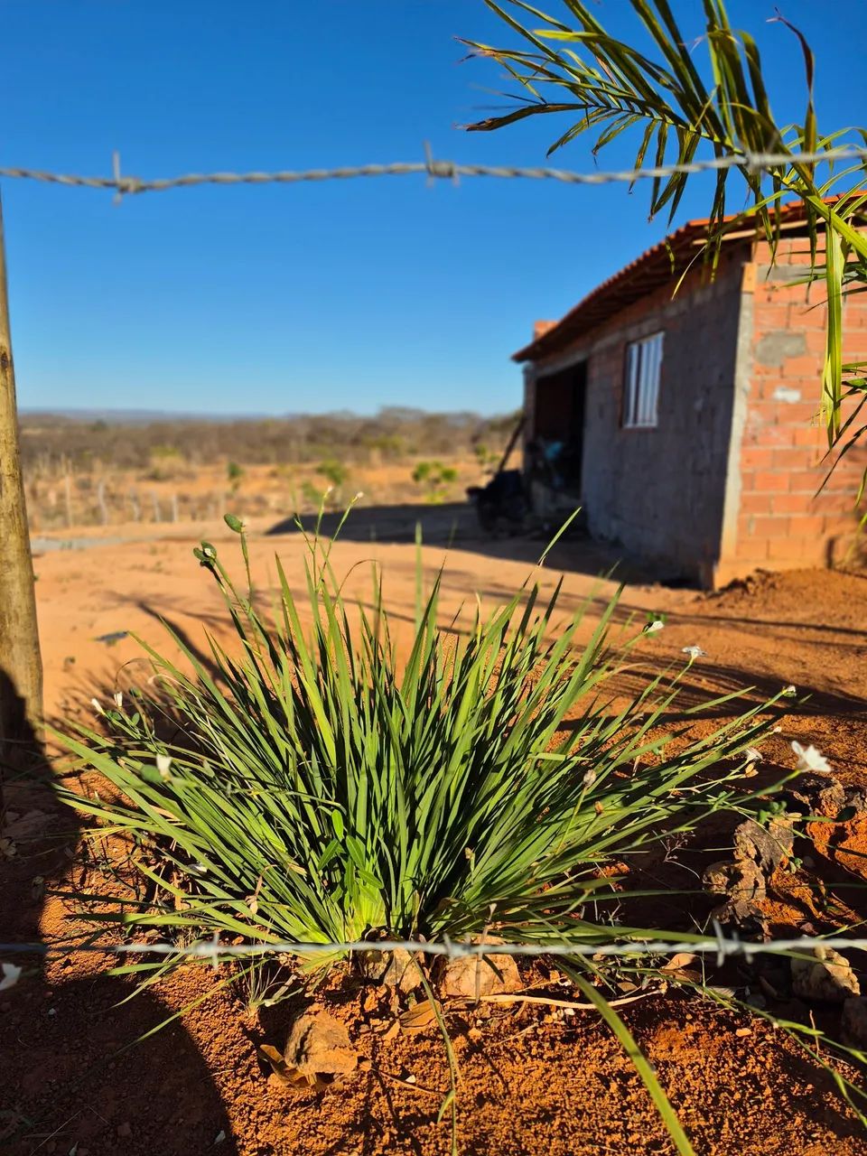 Chácara de mil metros joia do cerrado  - Foto 9