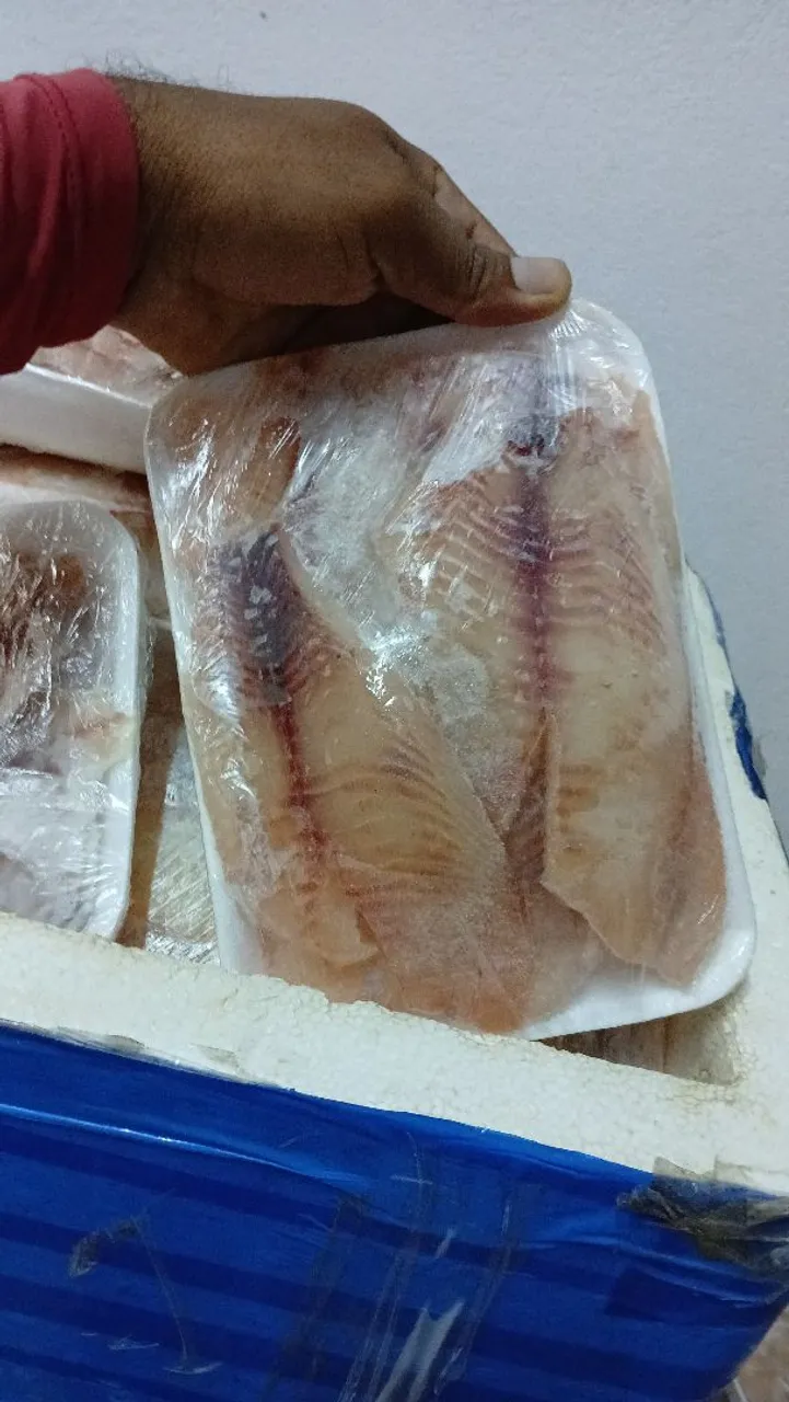 Filés de tilápia embalados em bandeija de 500g
