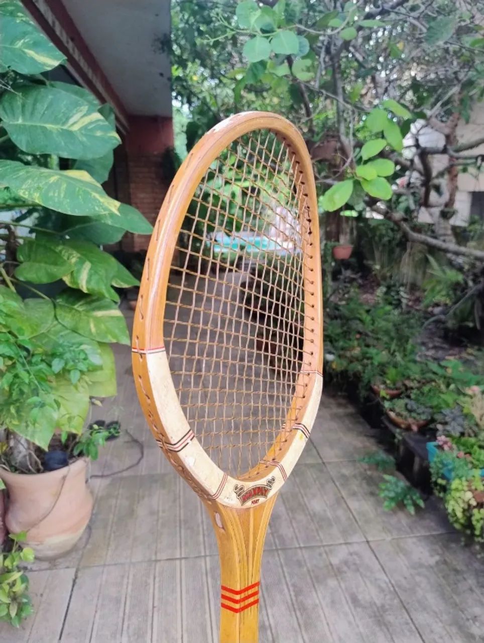 Raquete de Tênis em Madeira Dunlop - Foto 2