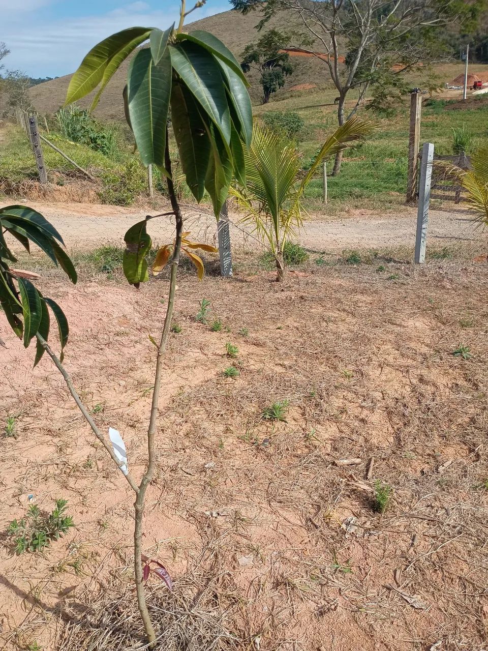 Excelente granja rural - Foto 3