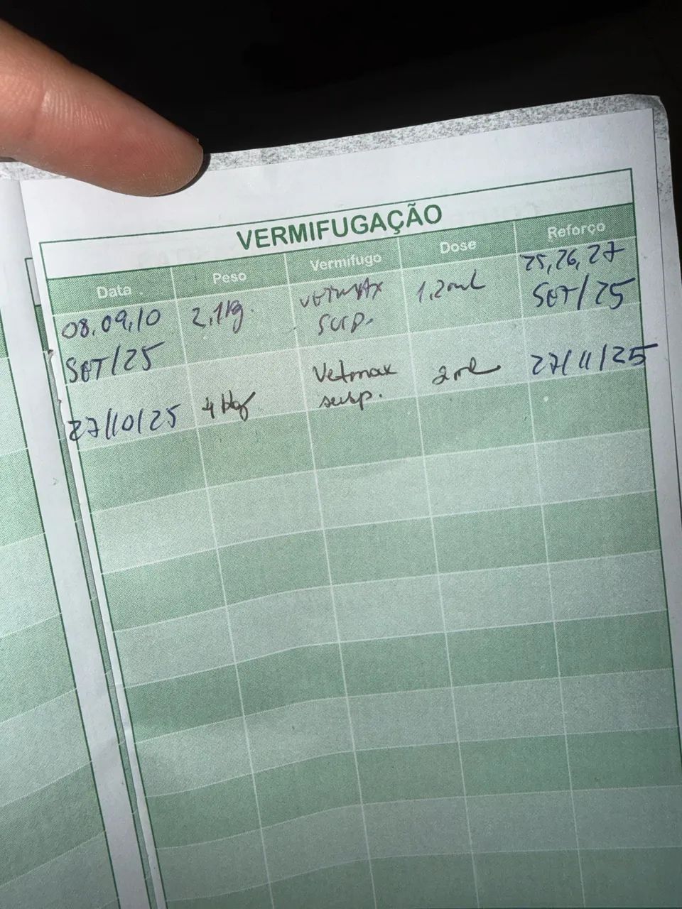 Goldem retriever 3 meses R$ 1.800 - Foto 3