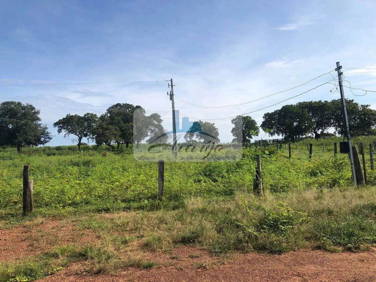 Fazenda com 3 quartos, Residencial Jardim América, Gurupi - R$ 10 mi, Cod: 2546 - Foto 5