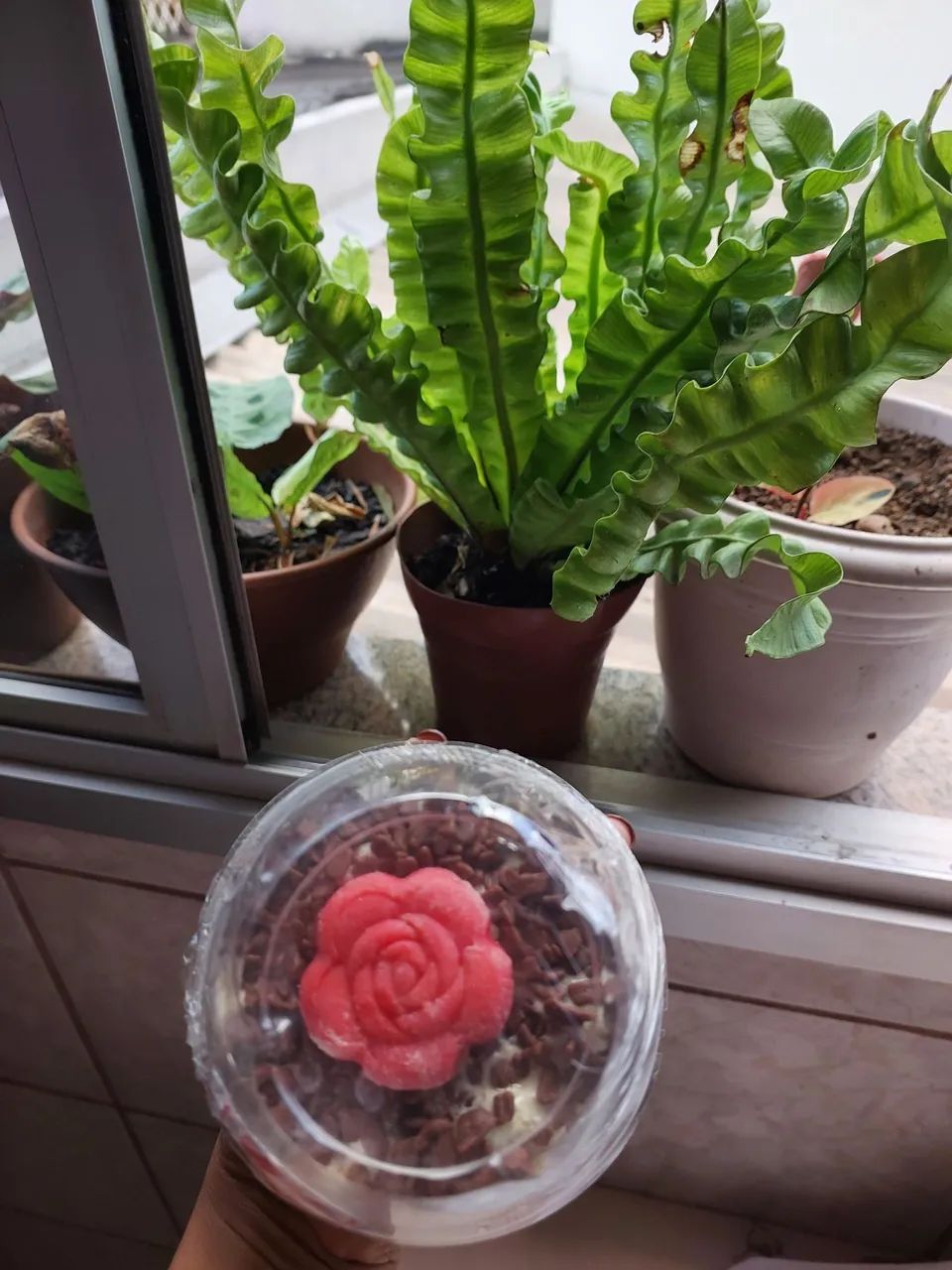 Copo da Felicidade!  - Foto 3