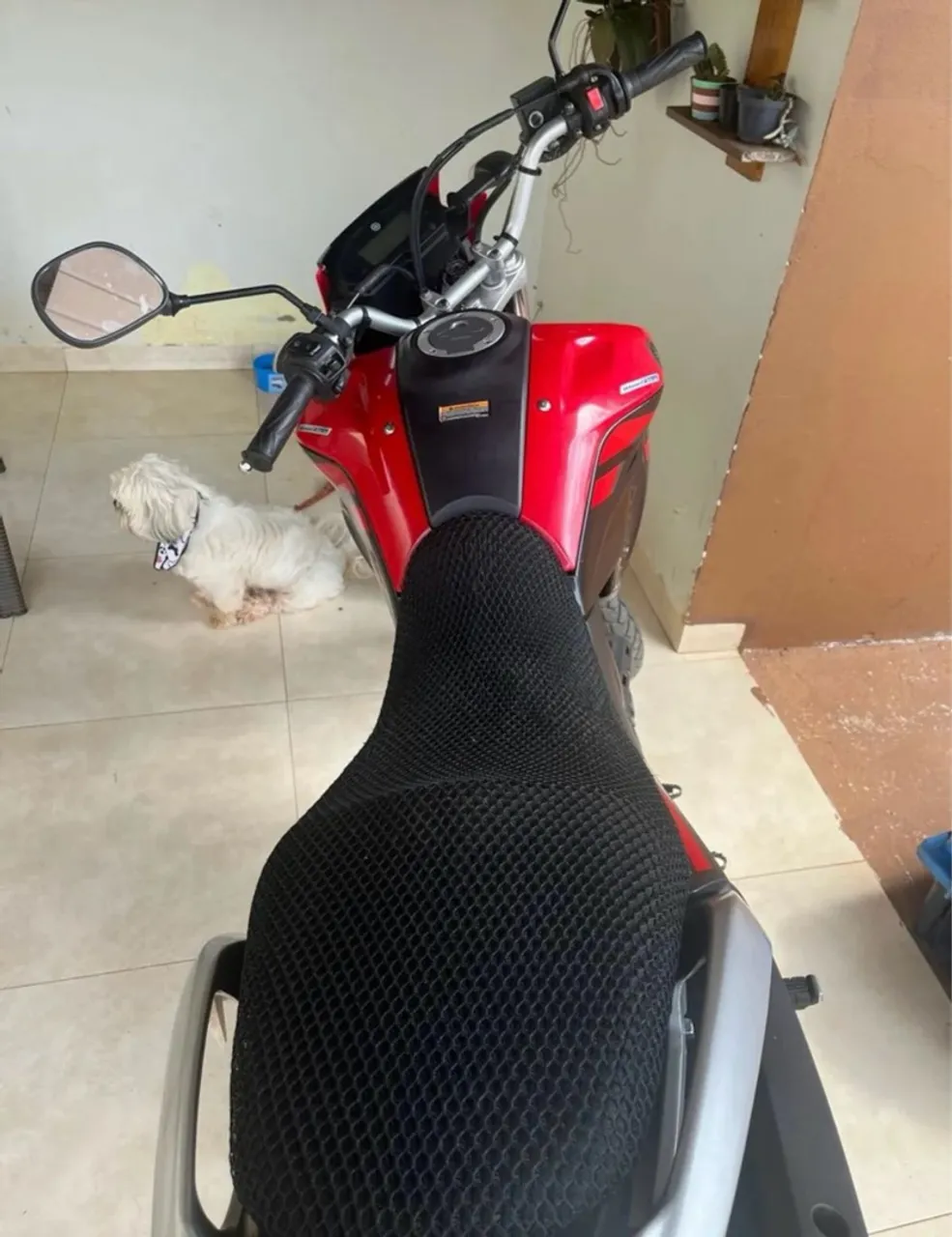Yamara 250