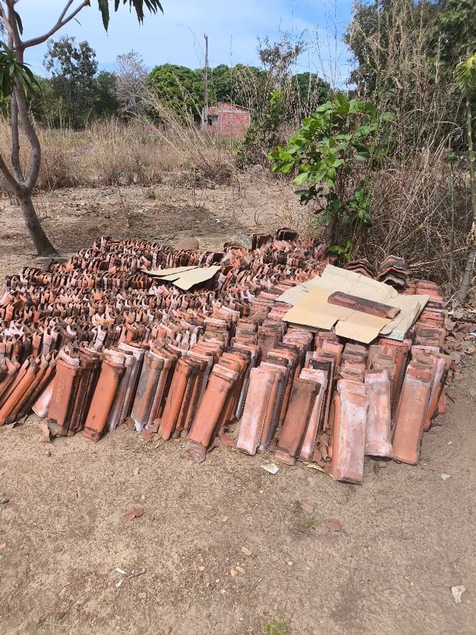 Telhas de cerâmica para construção