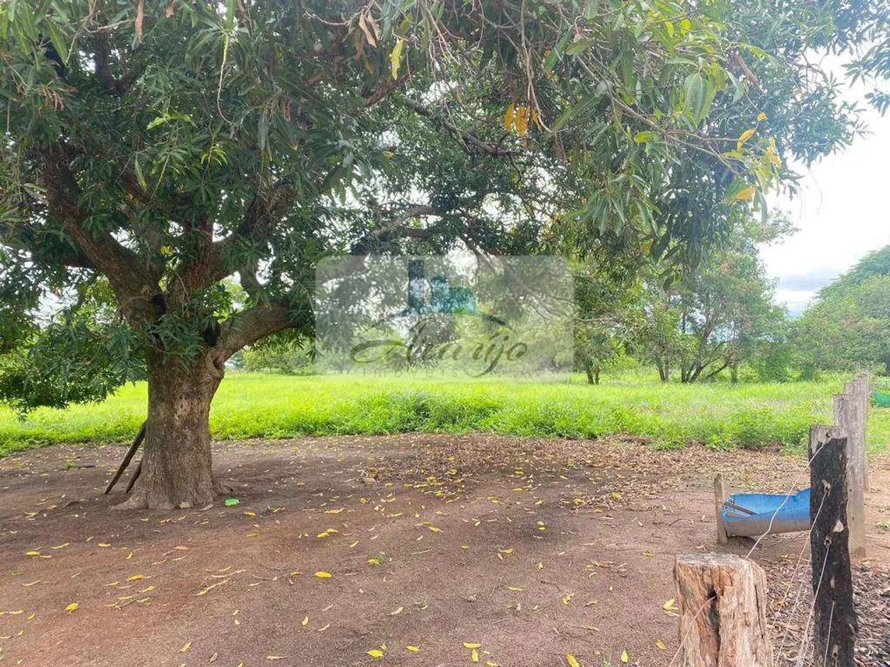 Fazenda com 3 quartos, Residencial Jardim América, Gurupi - R$ 10 mi, Cod: 2546 - Foto 3