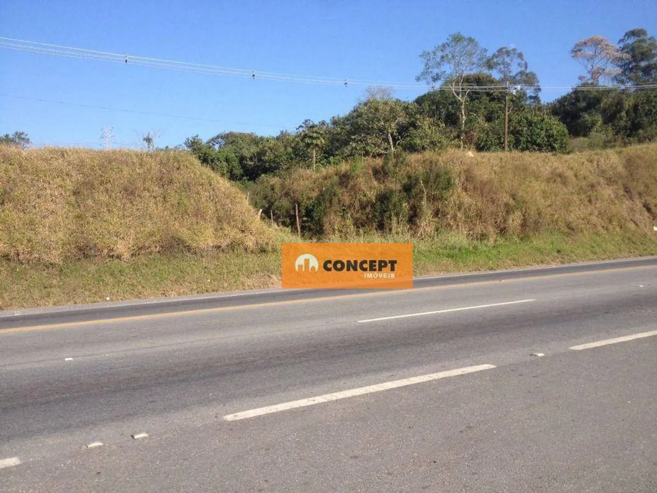 Área, 11447 m² - venda por R$ 3.300.000,00 ou aluguel por R$ 10.297,00/mês - Palmeiras de