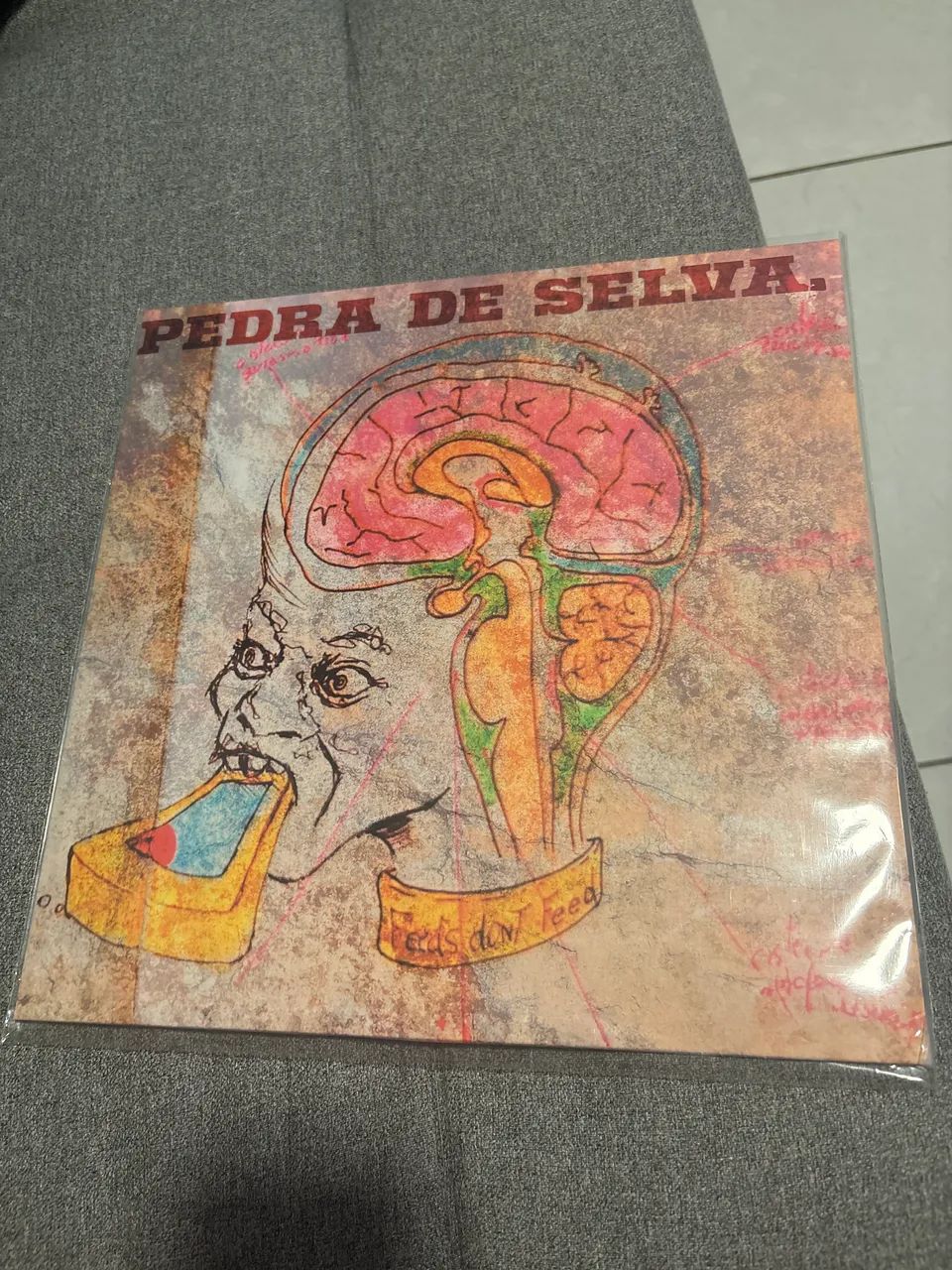 Pedra De Selva - Curumin - Vinil + Revista