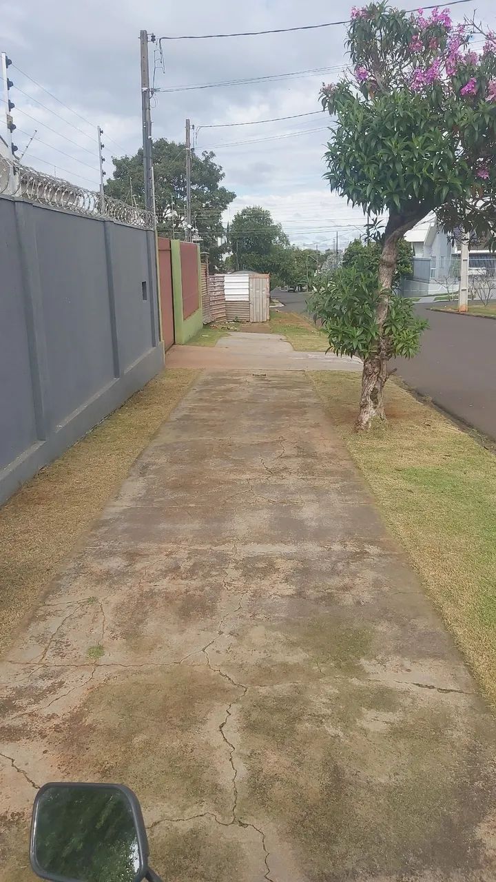 fasso jardinagem e paisagismo - Foto 4