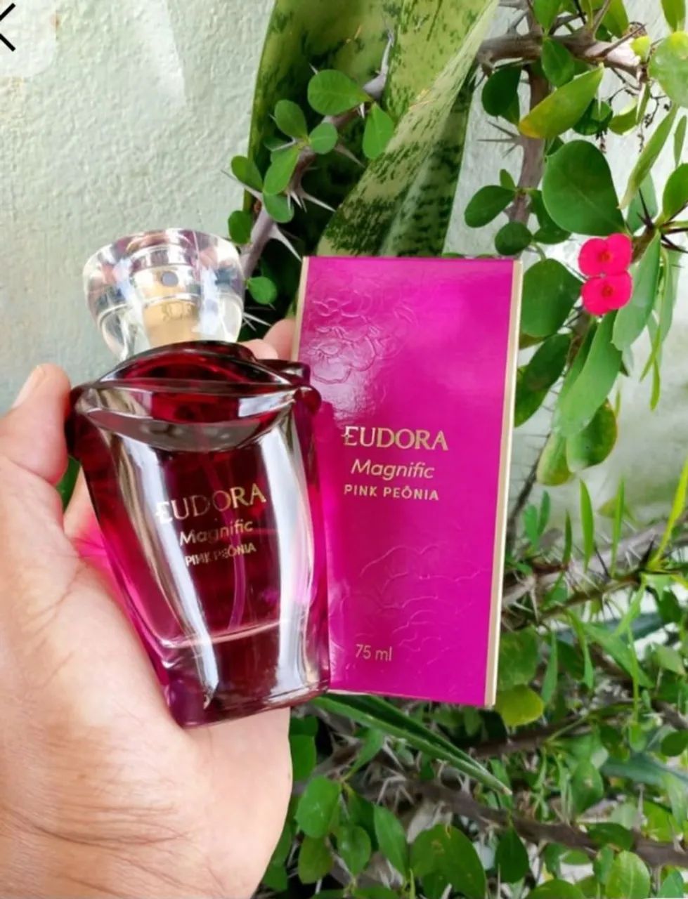 Magnífic Pink Peônia - Eudora 