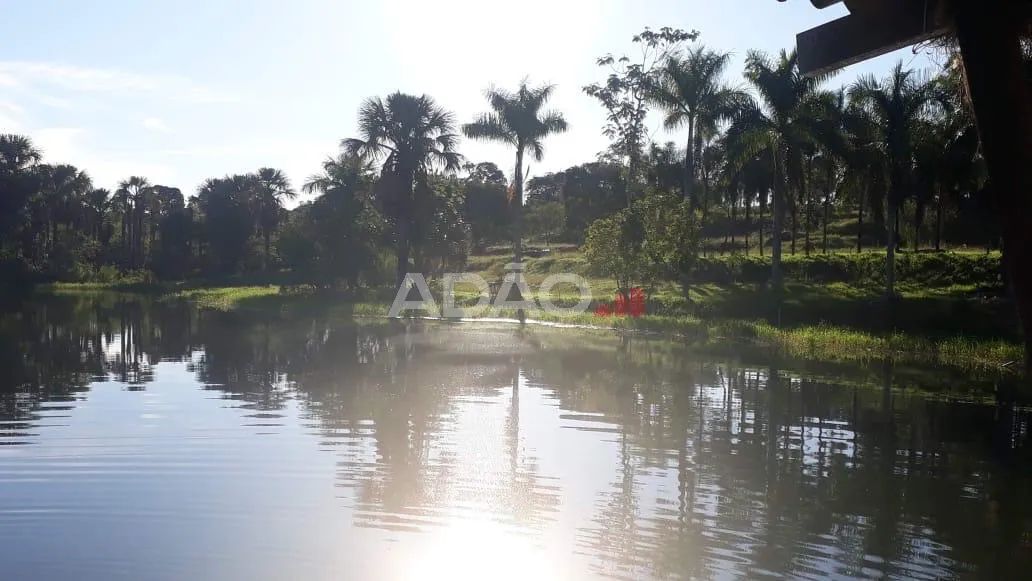 Ágio chácara nas margens da go020 a 20 minutos flamboyant - Foto 3