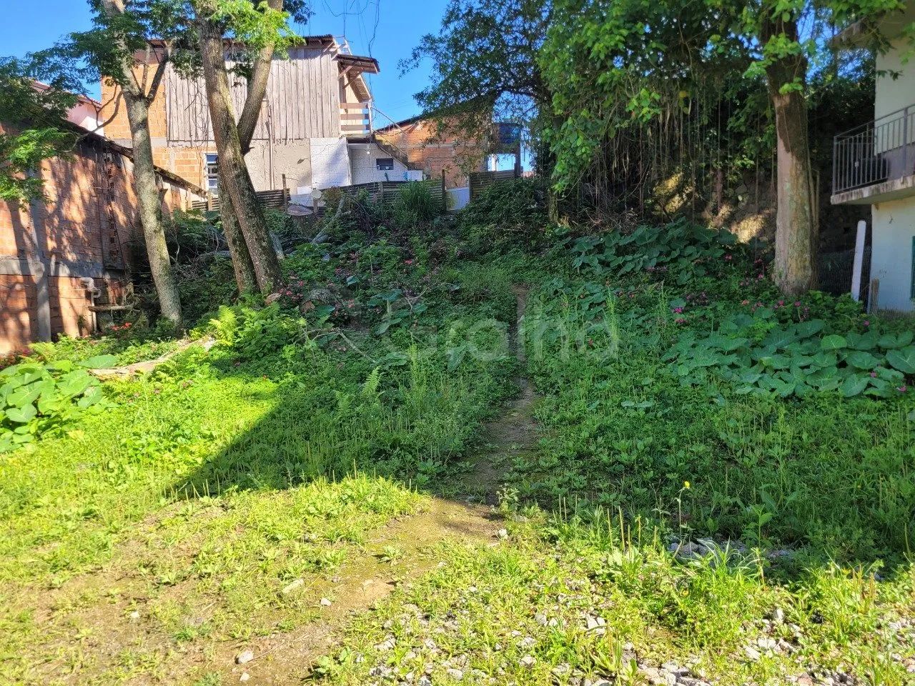 Terreno com 800m² no bairro Saco Grande, Florianópolis - Foto 2