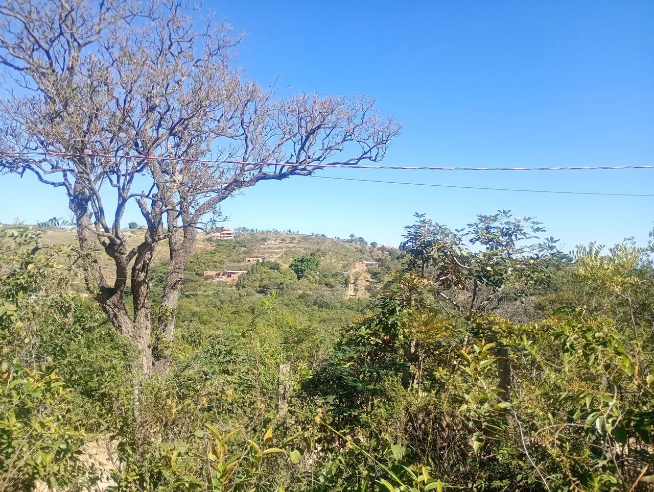 Terreno para chácara  1250 mts - Foto 3
