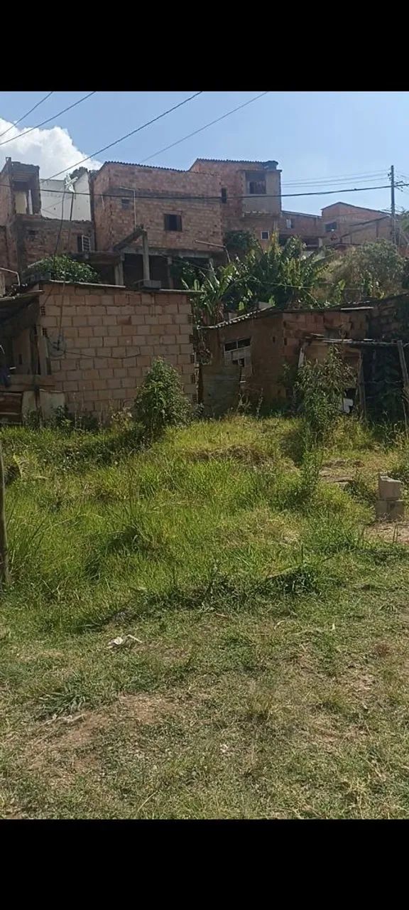 Lote  - Foto 2