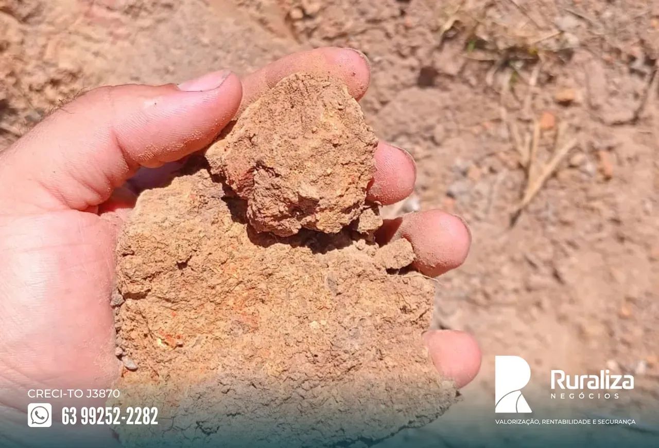 232 ALQUEIRES | 968 HA EM PASTAGENS | 80 DIVISÕES DE PASTO - Foto 3