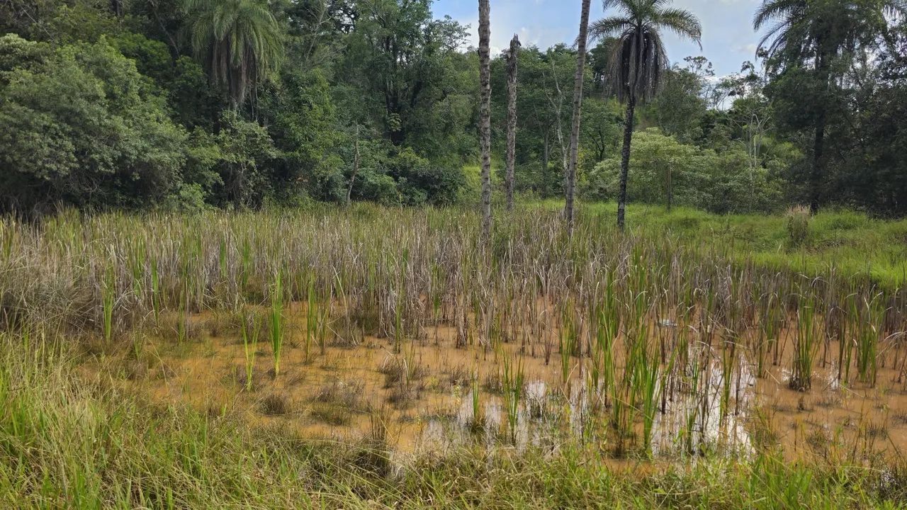 Área rural em serra azul mateus leme  - Foto 5