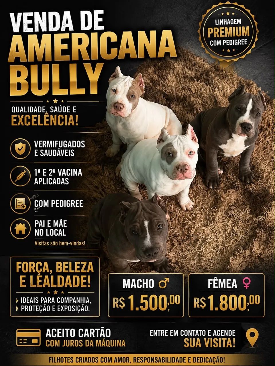 Cachorro 