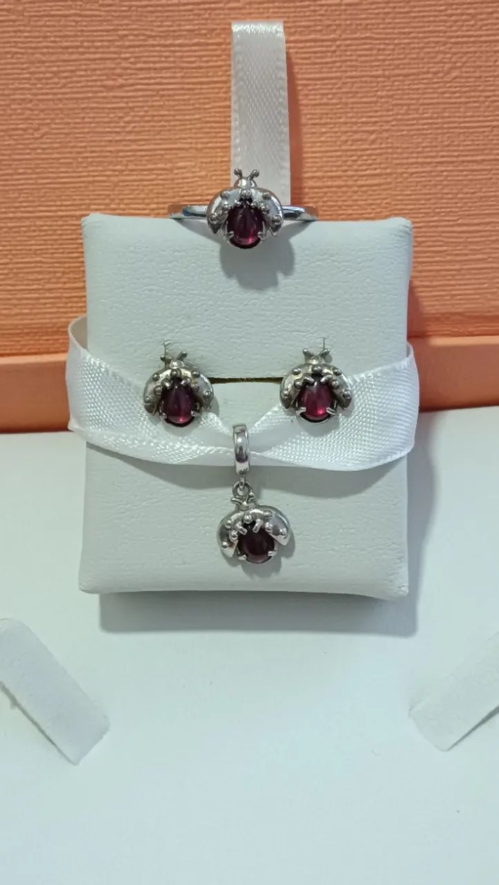 Conjunto Vivara Joaninha