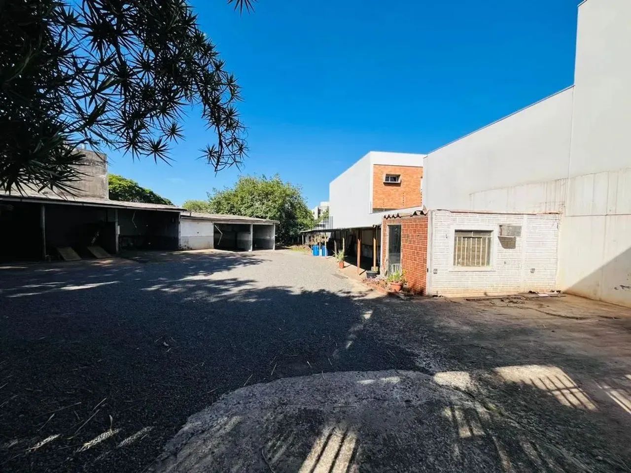 Terreno perfeito para investimento, para varias possibilidades - Foto 3