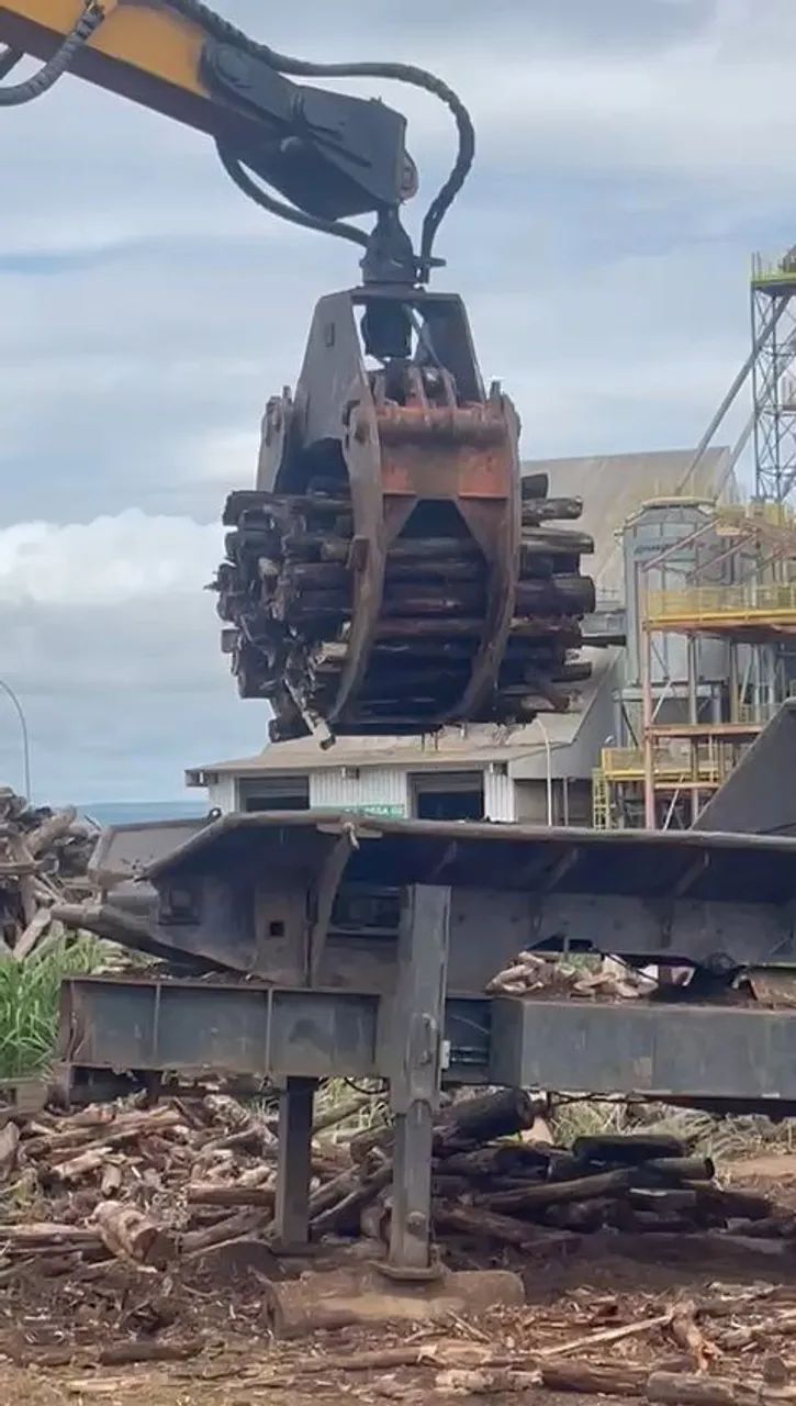 Grua florestal - Foto 2