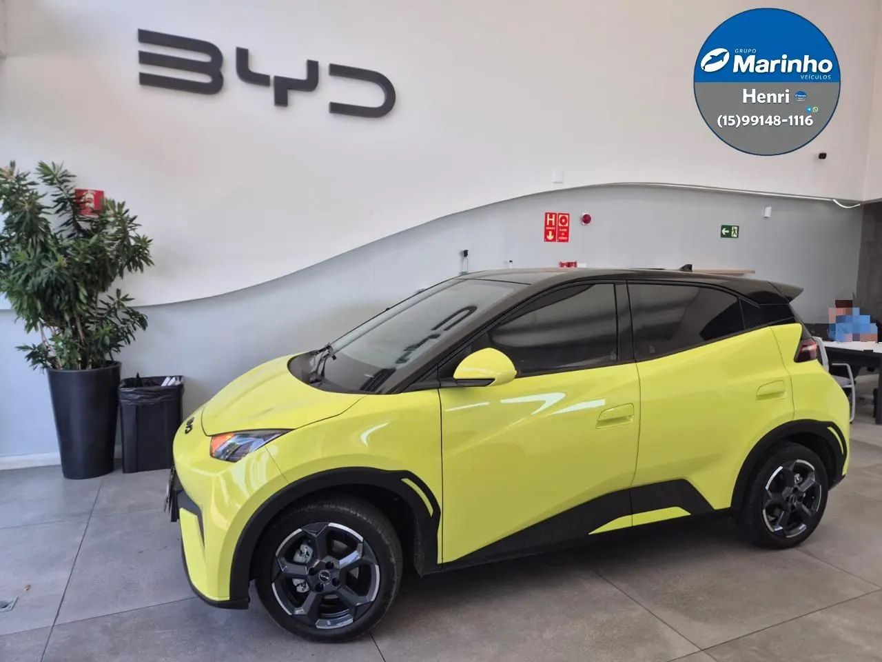 BYD Dolphin Mini (Elétrico) 2025