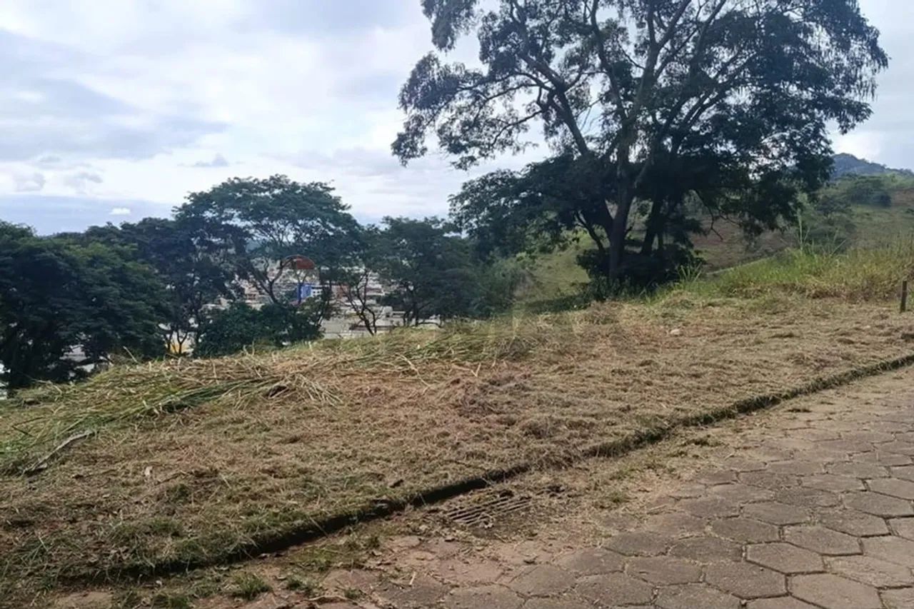 Terreno no Morro do Cristo - Foto 5