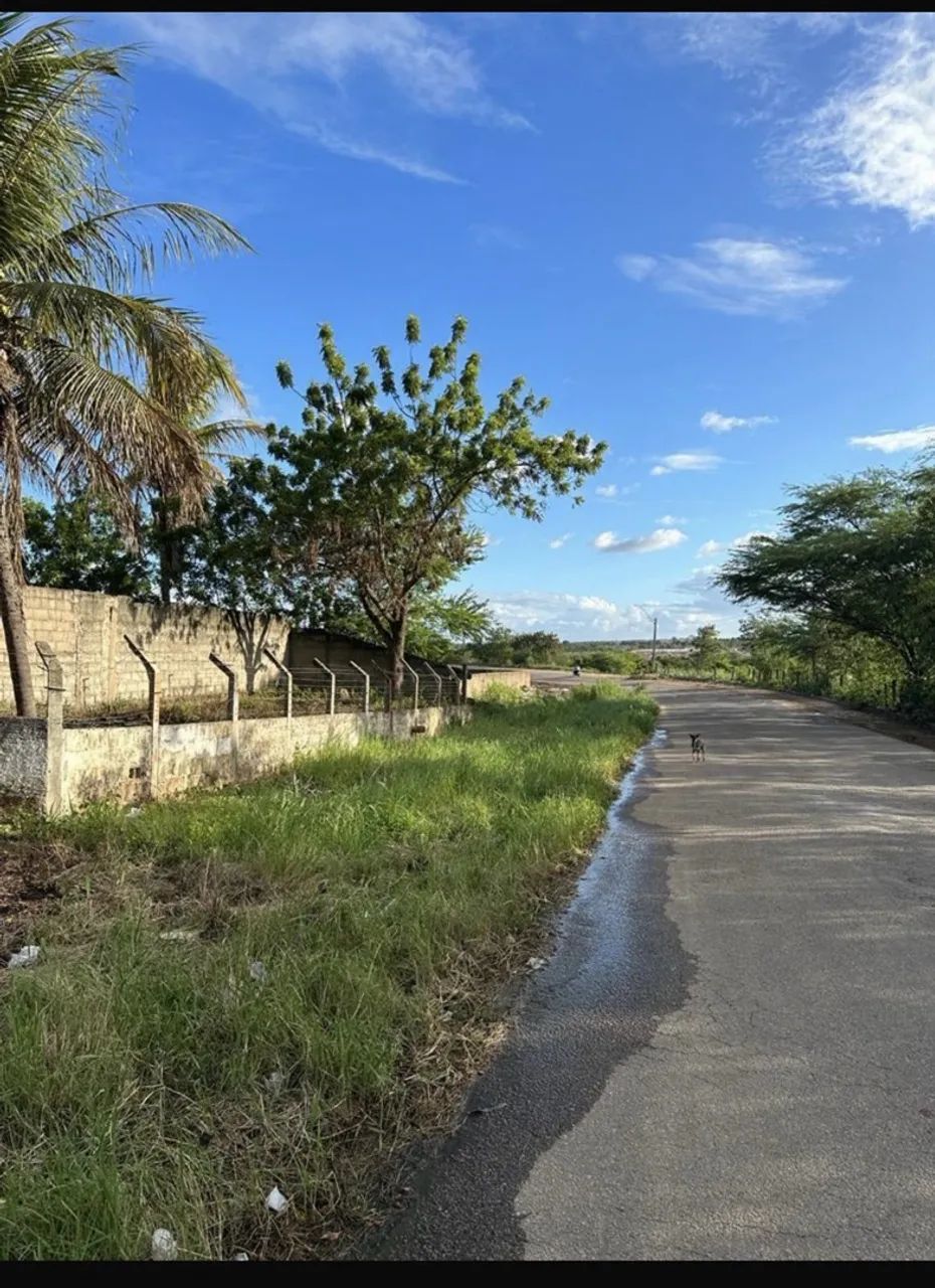 Alugo/Vendo area de 3.500 m2 whatsapp *80 - Foto 2