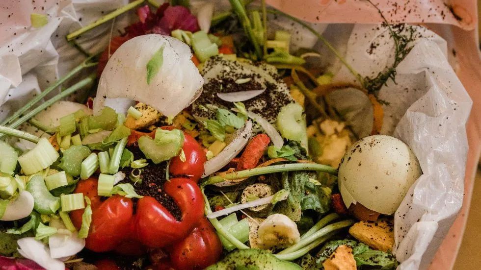 Restos de comida/frutas/vegetais 