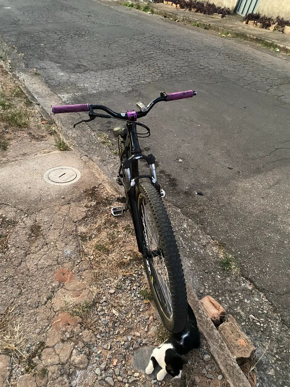 Bike - Foto 2