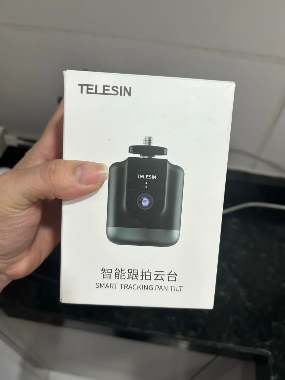 Telesin 