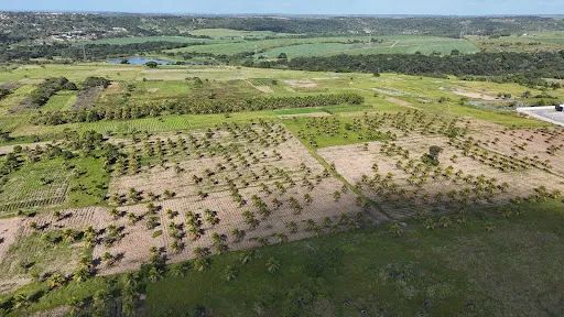 Galpão à venda, 222000 m² no Centro - Alhandra/PB - Foto 2