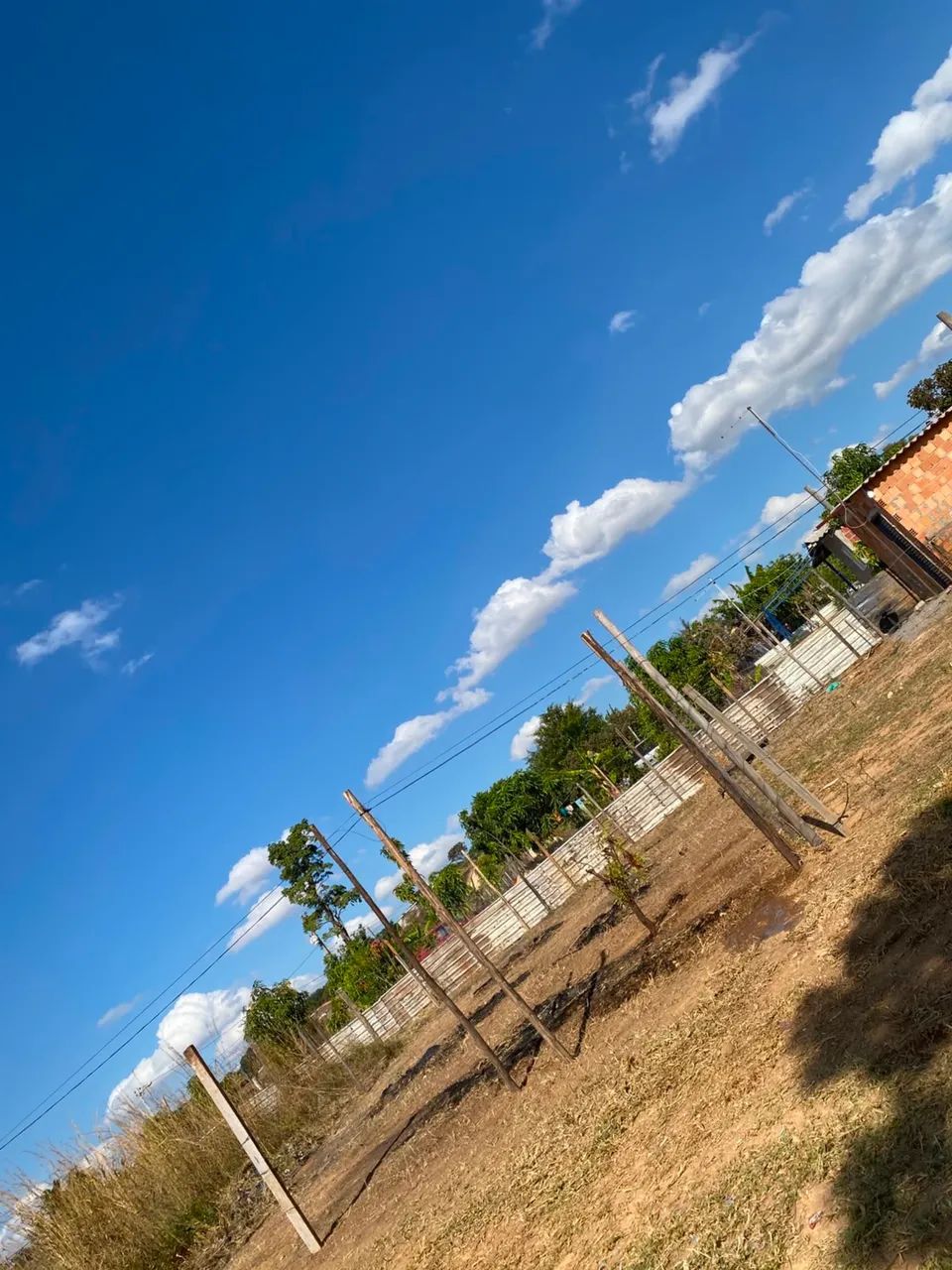 Vendo lote na samambaia  - Foto 3