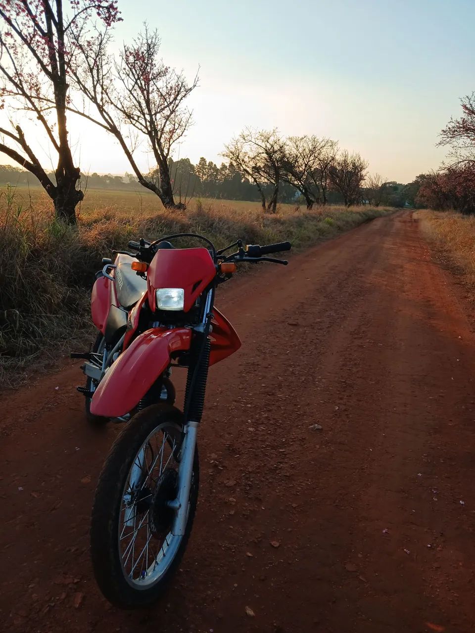  xr 250 tornado  - Foto 2