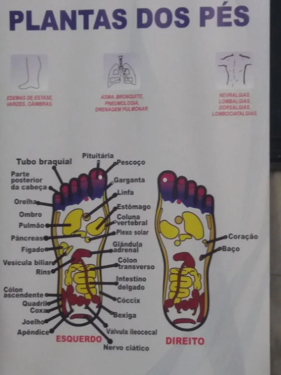 Palmilhas massageadoras - Foto 3