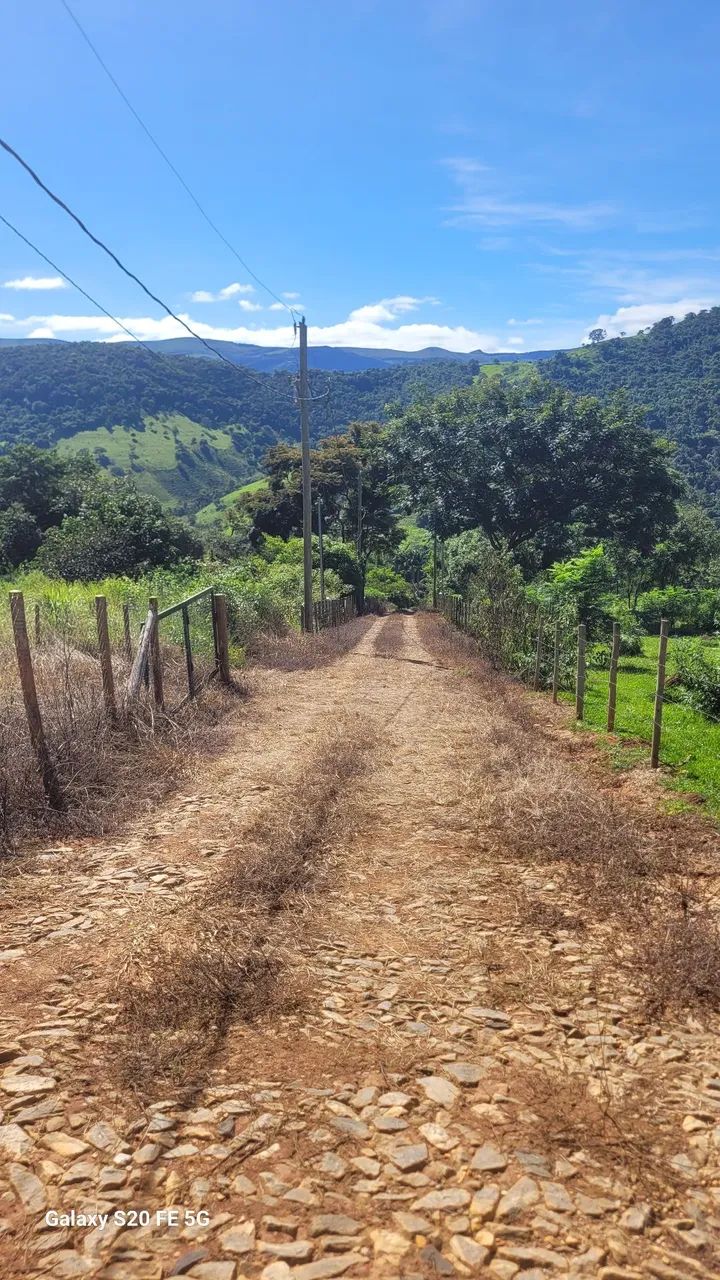 Foto - Moeda - 