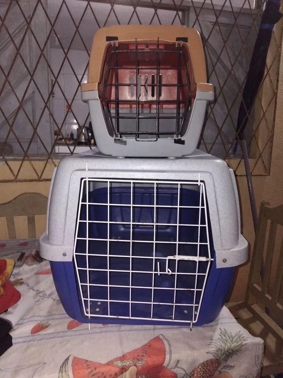 Caixa transportadora para cães 
