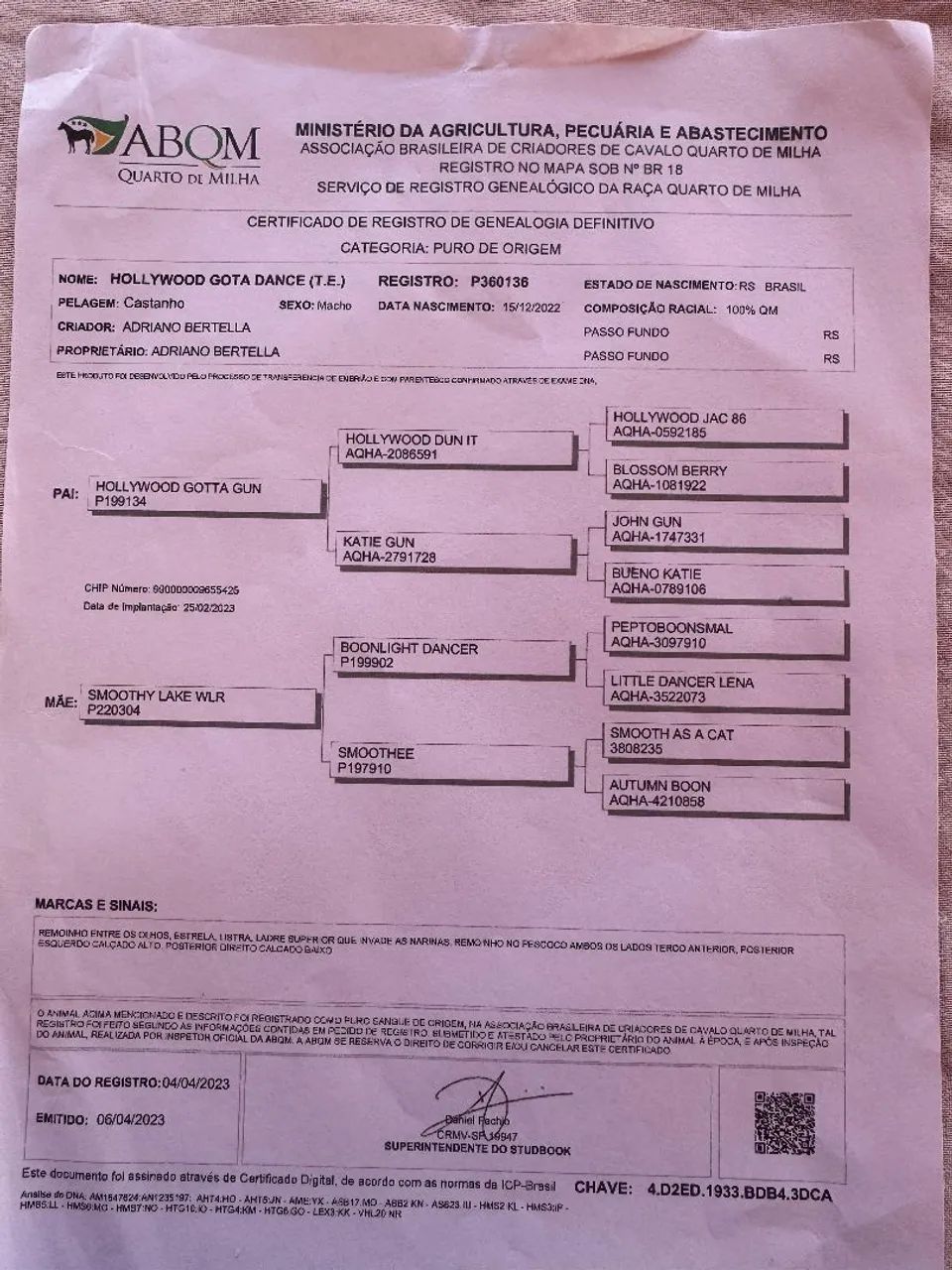 VENDE ESTE CAVALO - Foto 3