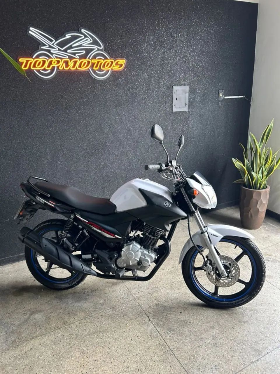 FACTOR 150 ED - Foto 2