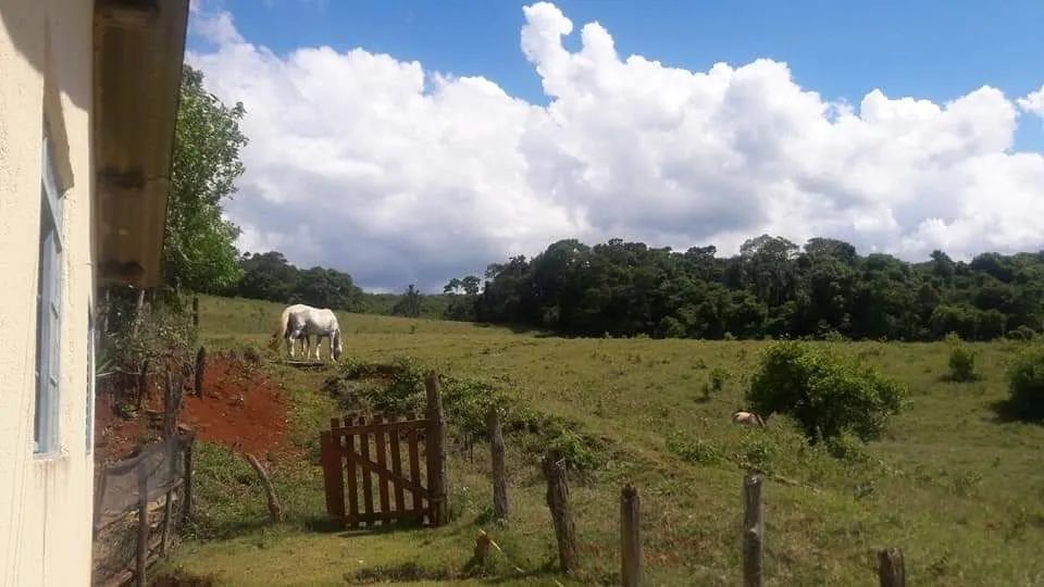Sitio 3.5  - Foto 2