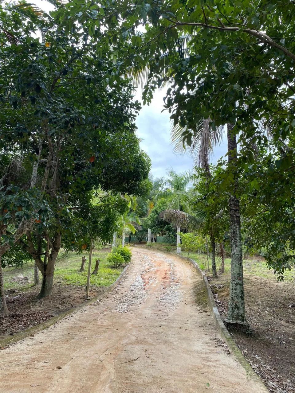 Vendo sítio Cachoeiro  - Foto 2