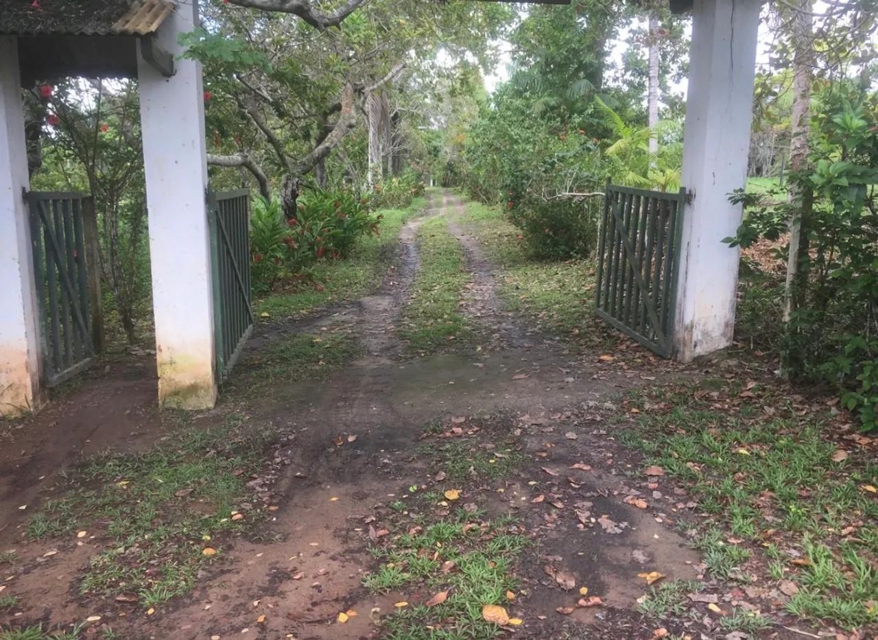 Sítio a venda em Valença-Ba.  - Foto 3