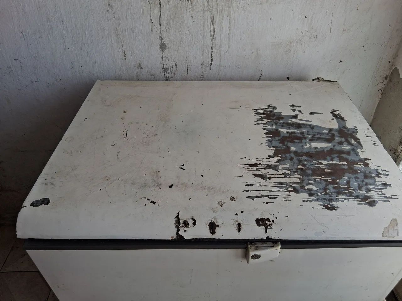 Freezer horizontal 