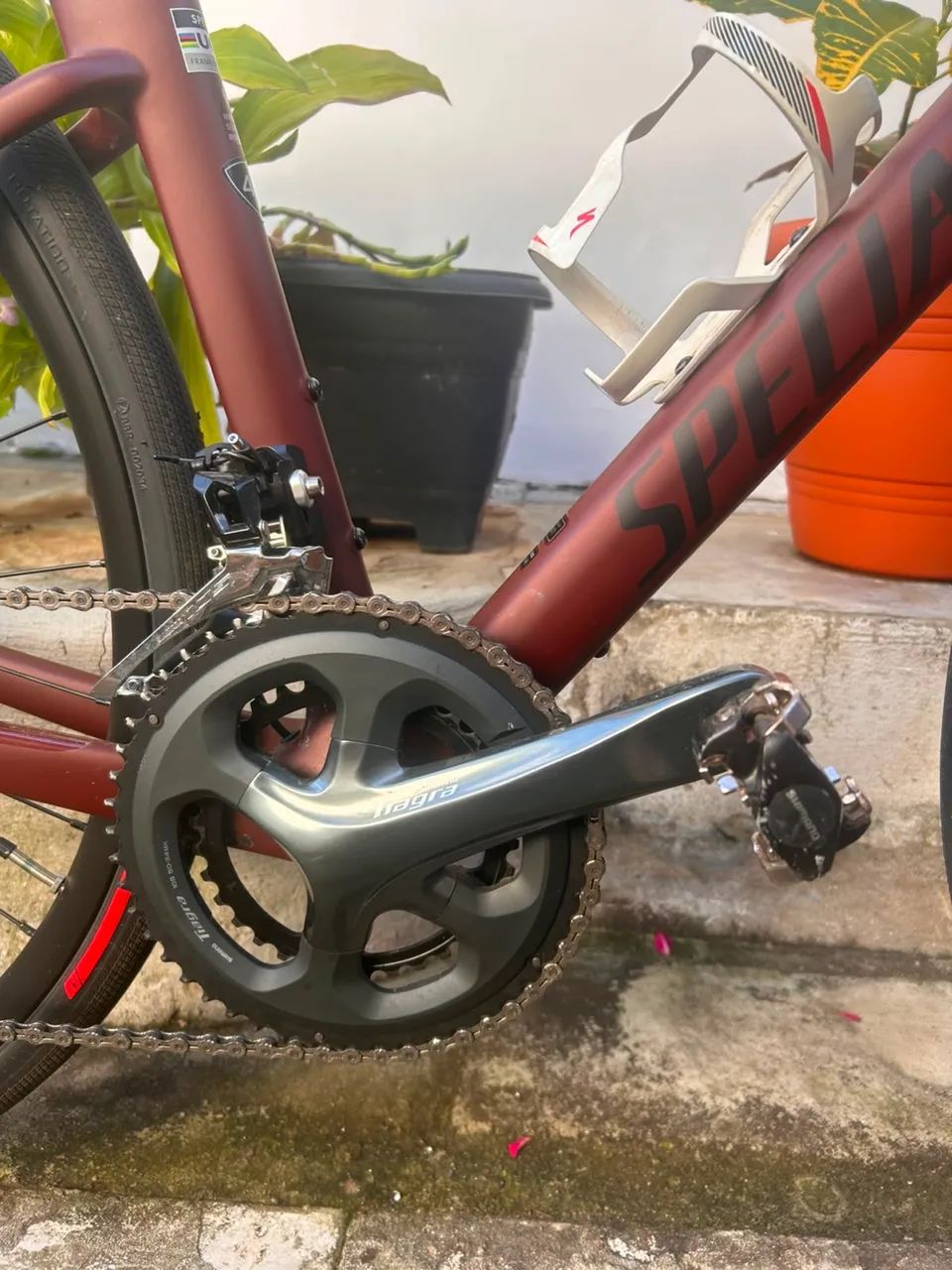 Bicicleta speed  - Specialized Roubaix  - Foto 3