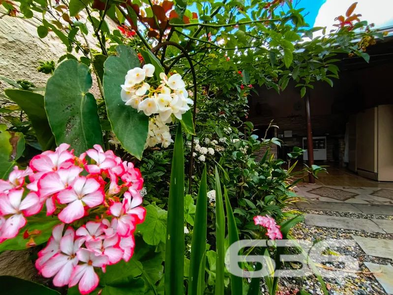 Casa | Joinville | Petrópolis - Foto 3