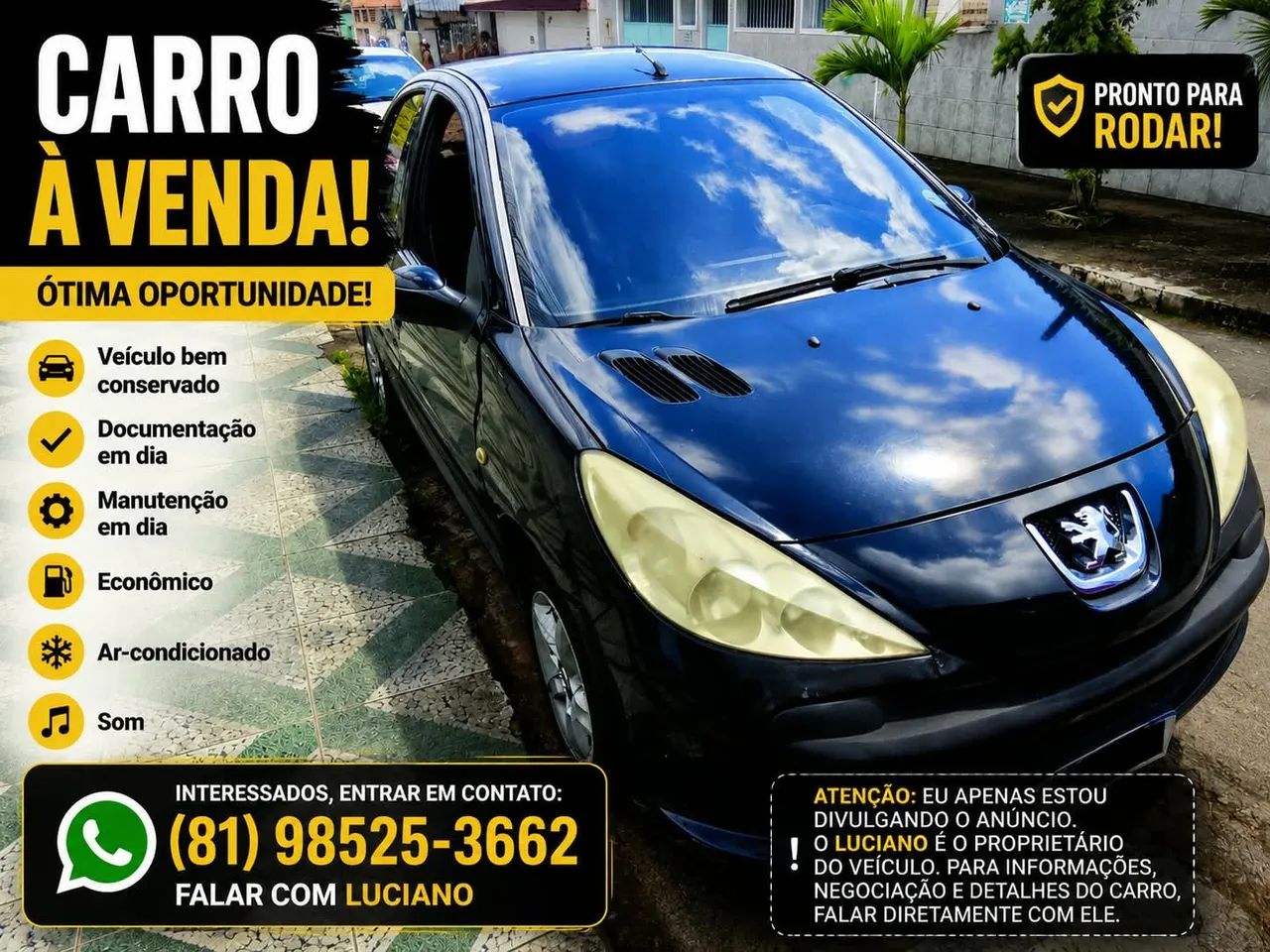 Peugeot 207 207 XR 1.4 Flex 8V 3p 2009